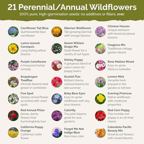 Eden Brothers Partial Shade Wildflower Mixed Seeds for Planting, 5 lb - Image 3