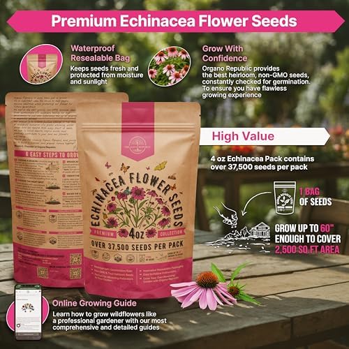 Organo Republic Echinacea Seeds Pack 4 oz - Over 37,500 Non-GMO Heirloom Echinacea Seeds for Planting, Perennial Flowers in Individual Packet, Coneflower for Planting Indoor & Outdoors - Image 2