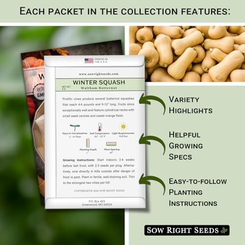 Sow Right Seeds - Winter Squash Seed Collection for Planting - Image 2