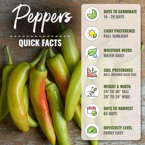 Seed Needs Sweet Banana Pepper Seeds to Plant Vegetables - 20 Packs - Image 4