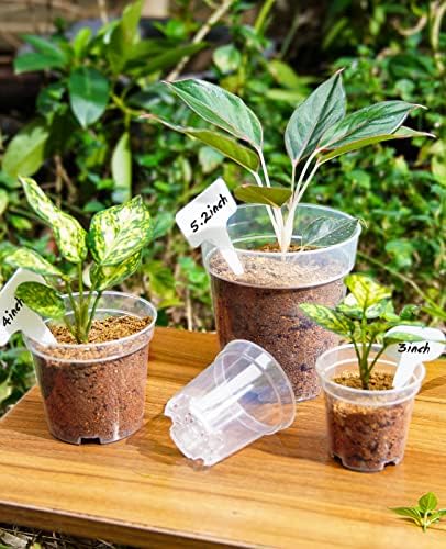 homenote 4 Inch Clear Nursery Pots for Plants with 20 Plant Labels (60 Pcs) - Image 4