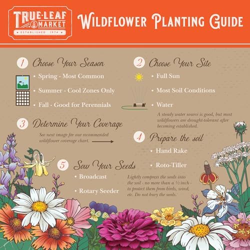 Mountain Valley Seed Co Rocky Mountain Wildflower Seeds Mix 1 Lb Seed Pouch - Image 5