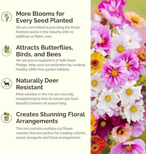 Eden Brothers Cosmic Zen Flower Mixed Seeds for Planting, 5 lb, 2,400,000+ Seeds with Zinnia Dahlia Flowered, Cosmos Sensation | Attracts Pollinators, Plant in Spring, Zones 3, 4, 5, 6, 7, 8, 9, 10 - Image 4