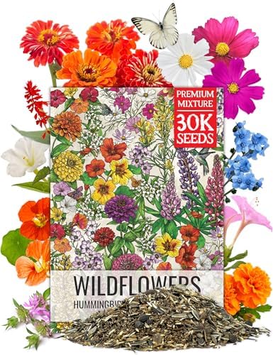 Seed Needs Wildflower Seeds Butterfly and Hummingbird Mix 2 Ounce Bulk Pack by SeedNeeds