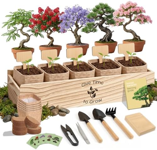 Bonsai Tree Starter Kit for Beginners 5 Unique Indoor Plants by zeetmart