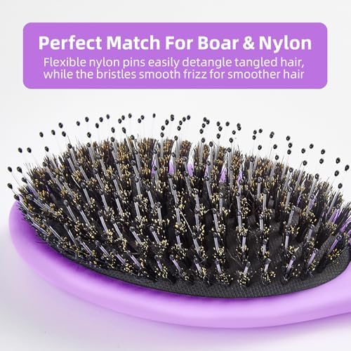 Boar Bristles Hair Brush for Women and Men, Detangling Hair Brush for Smoothing Massage Add Shine, Nylon&Boar Bristles Detangler brush for Hair Healthy (1 Pack-Purple) - Image 2