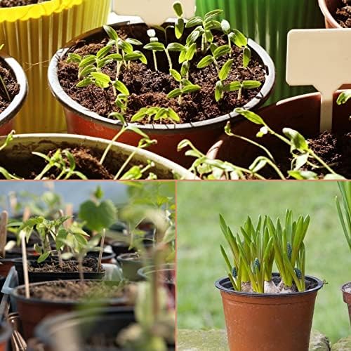 KINGLAKE 100 Pcs 4" Plastic Plants Nursery Pot/Pots Seedlings Flower Plant Container Seed Starting Pots,4 Inch,Red - Image 6