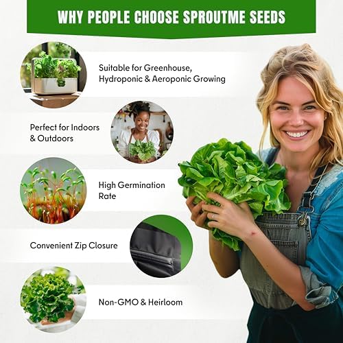 SproutMe Romaine Lettuce Cimarron Red 500+ Seeds for Planting, Non-GMO - Image 4