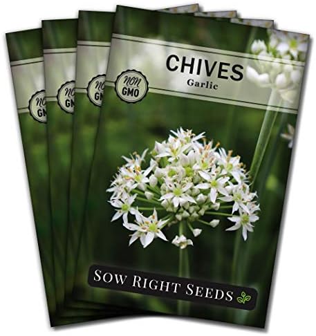 Sow Right Seeds- Garlic Chives Seeds for Planting Perennial Herb Garden 4pk by SowRightSeeds
