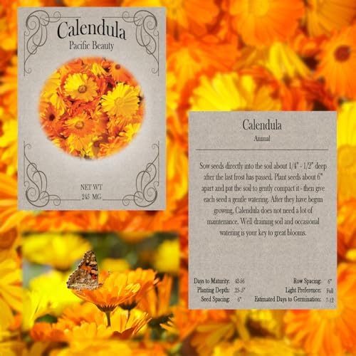 Set of 20 Assorted Flower Seed Packets! Flower Seeds Blind Bag - Great for Classrooms, Beginner Gardeners and Kids! - Made in the USA (20) - Image 2
