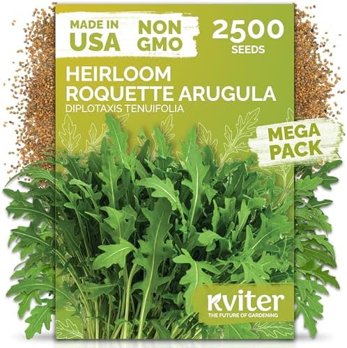 2,500 Roquette Arugula Heirloom Herb Seeds, Diplotaxis Tenuifolia by KVITER