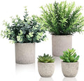 CEWOR 4 Pack Small Fake Plants Eucalyptus Rosemary Succulents Plants Artificial in Pots for Shelf Artificial Greenery Eucalyptus Plant Indoor for Home Bedroom Living Room Decoration by CEWOR