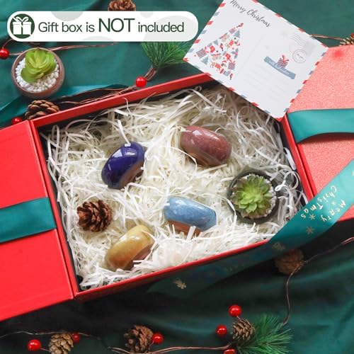 T4U Mini Succulent Pots, Small Shallow Ceramic Pots, Retro Gift Set of 12 - Image 6