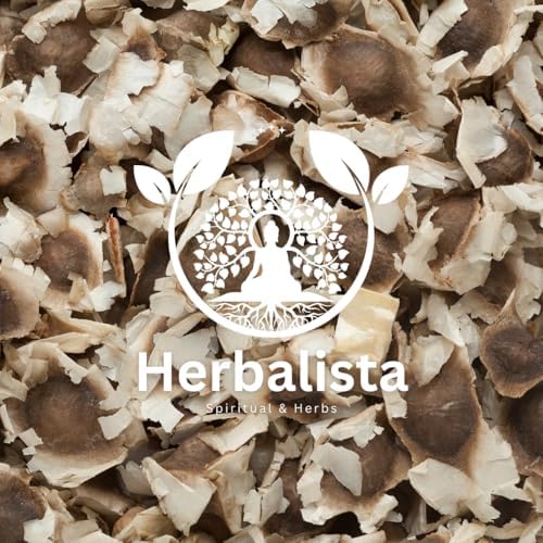 Herbalista Moringa Seeds | 3.5oz (100g) Approx. 350+ Seeds | Premium PKM1 Variety | Snacking & Planting | Non-GMO | Wildcrafted Drumstick Tree (Malunggay) | Moringa Oleifera Semillas - Image 2