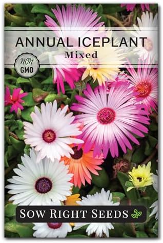 Sow Right Seeds - Mixed Annual Ice Plant Seed for Planting Flower Garden by SowRightSeeds