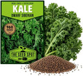 960+ Dwarf Kale Seeds for Planting -Heirloom Non GMO by Unknown
