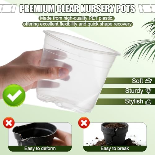 4/6/7/10 Inch Large Clear Nursery Pots with Drainage & Plant Tags - Image 4