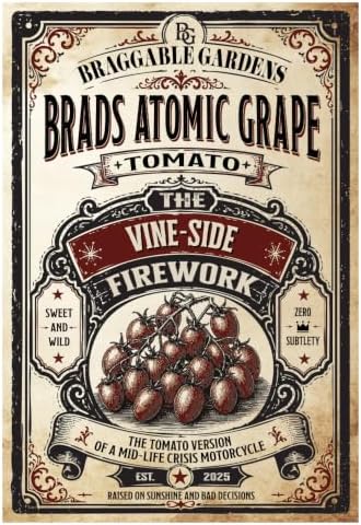 Brad’s Atomic Grape Tomato Seeds, Eye-Catching Tomato Seeds for Planting, Vegetable Garden Seeds, Sweet Rich Flavor, Striped Elongated Tomatoes for Home Garden & Outdoor Planting - Image 2