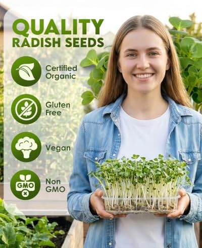 Nature Jim's Sprouts - Organic Radish Seeds for Sprouting – Non-GMO - 16 oz - Image 2
