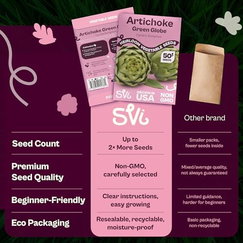 SVI 50 Green Globe Artichoke Seeds (Cynara scolymus) – Globe Artichoke Seed Packets, Artichokes Garden Seed Perennial – Heirloom Vegetable Seeds for Outdoor Garden Raised Beds, Containers - Image 6