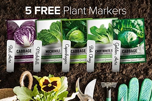 Gardeners Basics, Cabbage Seeds for Planting 5 Individual Packets Bok Choy, Michihili (Napa) Chinese Cabbage, Red, Golden Acre and Copenhagen Market Early for Your Non GMO Heirloom Vegetable Garden - Image 2