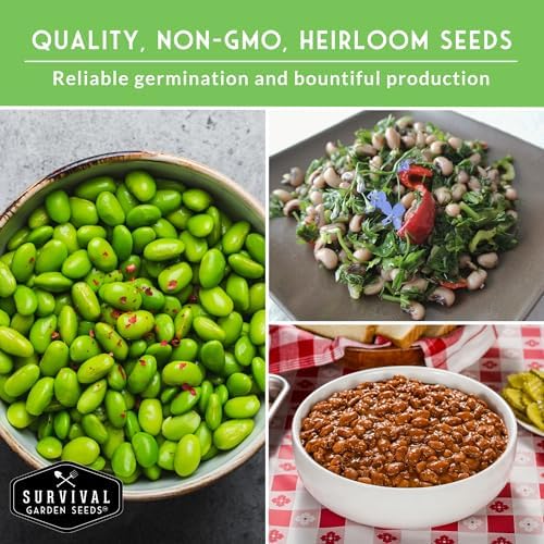 Dry Bean Seeds for Planting – 5 Varieties - Survival Garden Seeds - Image 4
