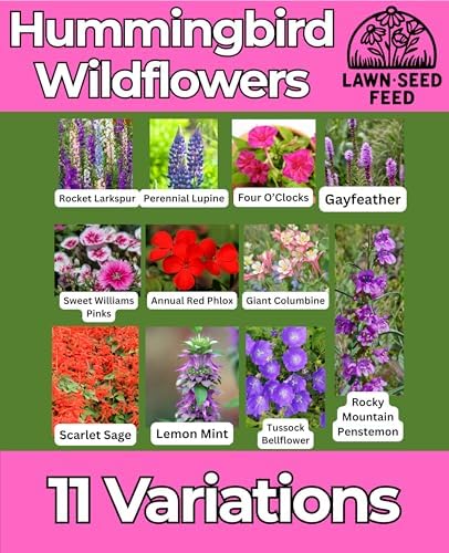 Hummingbird Wildflower Seed Mix (2oz) Bright, Nectar-Rich Blooms that Attract Hummingbirds & Pollinators - Image 2