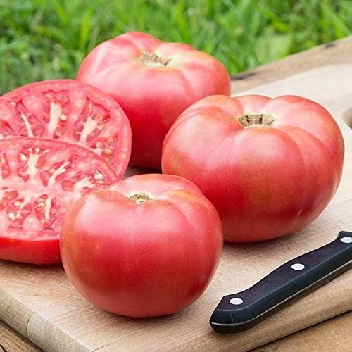Bulk (1000) Tomato Seeds - Several Varieties Plant them or re-sell them!(1000 - Homestead Tomato Seeds) - Image 5