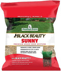 Jonathan Green Black Beauty Sunny Grass Seed - 1 lb by JonathanGreen