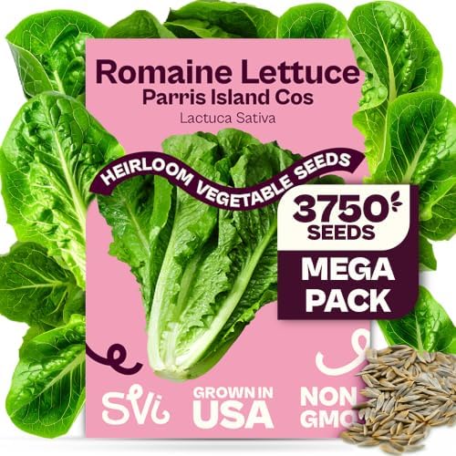 SVI 3750 Parris Island Cos Romaine Lettuce Seeds (Lactuca Sativa) – Green Leaf Lettuce Romaine Seed Packets – Disease Resistant, Heirloom Vegetable Seeds for Outdoor Vegetable Garden by SVI