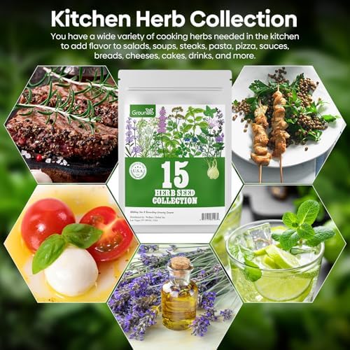 Groundio Herb Seeds, 15 Variety Packs, 5,700+ Non-GMO Heirloom Seeds | Herb Seeds for Planting Indoor, Outdoor & Hydroponic, with Rosemary, Basil, Mint, Lavender, Lemon Balm Seeds - Image 4