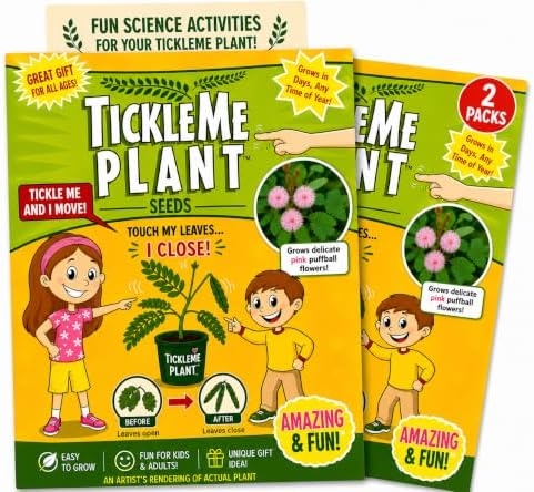 Seeds (2-Pack) – Touch-Sensitive Plant that Closes Leaves When Touched – Easy Indoor House Plant Seeds – Fun Educational Activity for Kids & Adults by TickleMePlantandZOMBIEPLANTProducts
