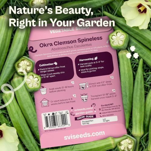 SVI 250 Clemson Spineless 80 Okra Seeds (Abelmoschus esculentus) – Clemson Spineless Okra Seed Packets, Heavy Yields – Heirloom Vegetable Seeds in Outdoor Vegetable Garden - Image 2