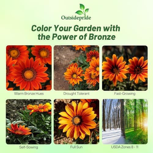 Outsidepride New Day Bronze Gazania Seeds for Planting – 50 Pcs Perennial, Low-Maintenance, Drought-Tolerant Ground Cover Seeds for Vibrant Summer & Fall Flowers, Great for Outdoor Gardens - Image 2