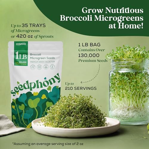 Broccoli Sprouting & Microgreens Seeds - 130,000 Non-GMO Heirloom Seed, 1lb Resealable Bag - High-Germination Broccoli Seeds for Sprouting in Jars, Soil, Hydroponics & Microgreen Trays - Image 3