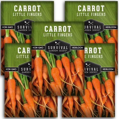 Little Finger Carrot Seeds for Planting – Survival Garden Seeds (5 Pack) by SurvivalGardenSeeds