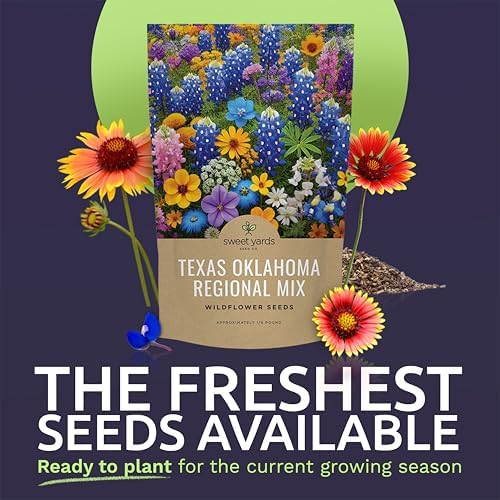 Texas Oklahoma Wildflower Seeds Mixture - Bulk 1/4 Pound Bag - Over 60,000 Native Seeds - Open Pollinated and Non GMO - Image 2