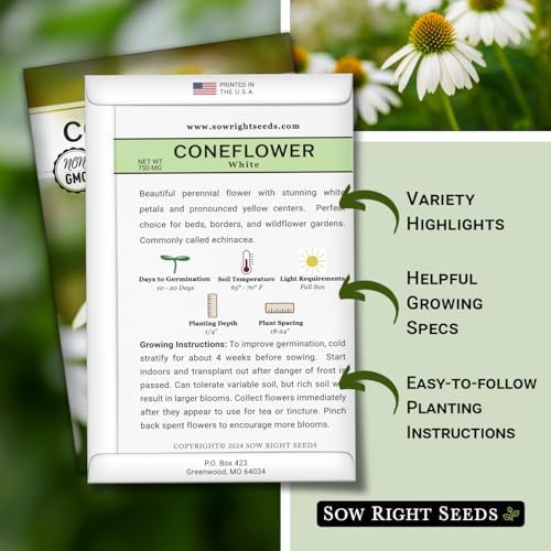 Sow Right Seeds- White Coneflower Seed for Planting Your Own Perennials 3pk - Image 2