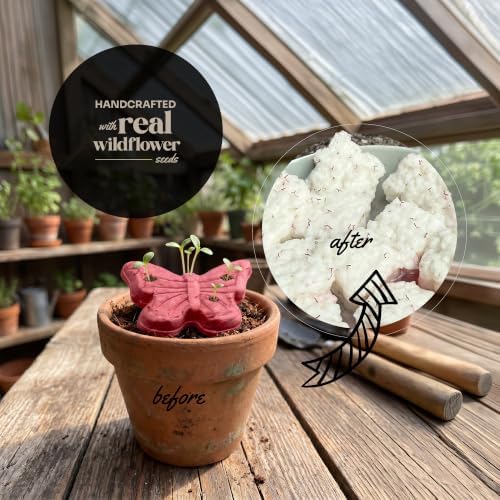 24-Count Plantable 3D Butterfly Wildflower Seed Bomb Favors - Image 4