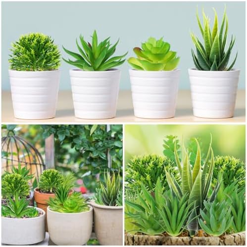 QUOZUO 22pcs Artificial Succulents Realistic Mini Succulent Plants, Green Succulents Small Plants for DIY Crafting Garden Home Arrangement Office Decorations (Unpotted) - Image 3