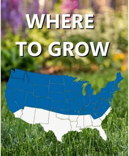 Jonathan Green 12002 Black Beauty Sun & Shade Grass Seed Mixture, 3 Lb - Image 3