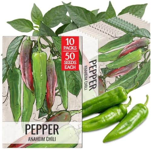 Seed Needs Anaheim Hot Pepper Seeds to Plant Vegetables - 10 Packs by SeedNeeds