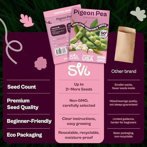 SVI 50 Gandules Pigeon Peas Seeds (Cajanus indicus) - Gungo peas, Congo Pea, Drought Resistant & Nitrogen-Fixing, Open-Pollinated - Heirloom Vegetable Seeds for Outdoor Garden, Raised Beds - Image 6