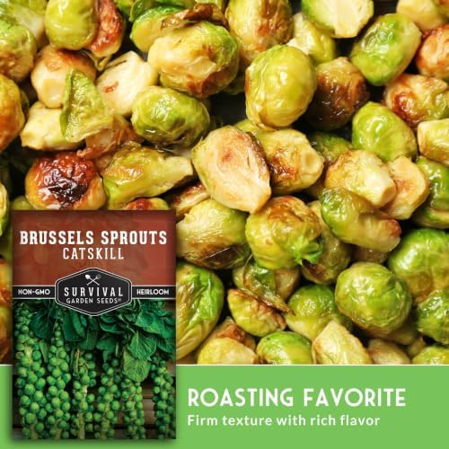Catskill Brussels Sprout Seeds for Planting (5 Packs) - Image 6