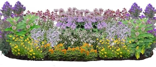 64 Live Outdoor Native Plants for Full Sun to Support Monarch Butterflies – Includes Purple Coneflower, Wild Bergamot, Butterfly Milkweed & More – Not Seeds – 4–8” Tall on Arrival – Easy to Grow by MyHomePark