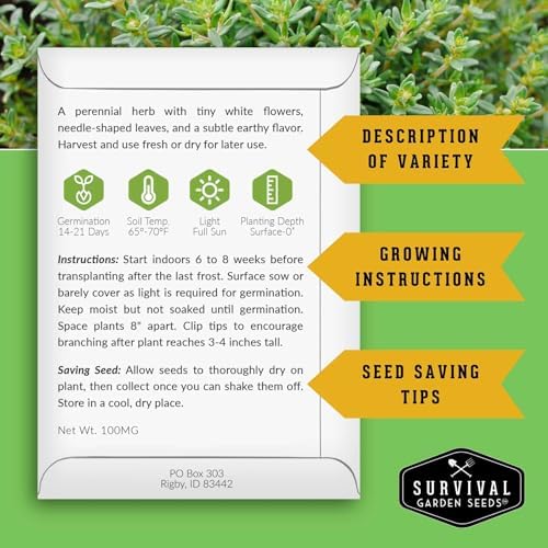Thyme Seeds for Planting – Survival Garden Seeds (3 Packs) - Image 2