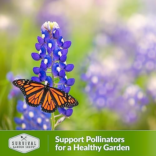 Texas Bluebonnet Seeds for Planting - 1 Pack - Image 5