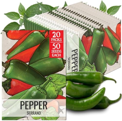 Seed Needs Serrano Hot Pepper Seeds to Plant Vegetables - 20 Packs by SeedNeeds
