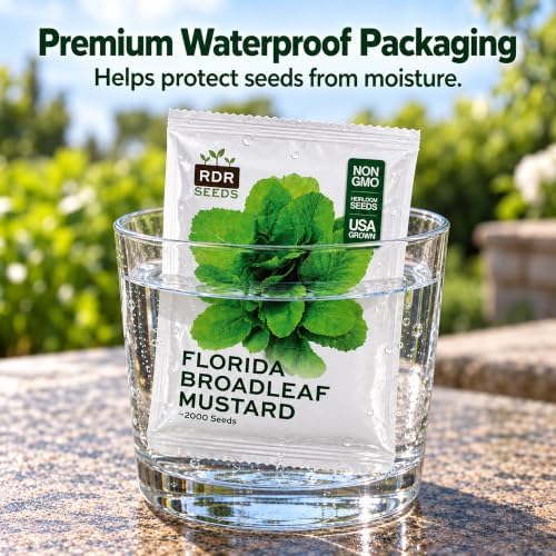 2000 Mustard Greens Seeds for Planting - Heirloom, Florida Broadleaf - Image 6