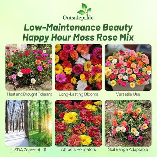 Outsidepride Happy Hour Mixed Moss Rose Seeds - 250 Pcs Annual, Drought & Heat Tolerant, Pollinator Friendly Ground Cover Seeds for Planting w/Vibrant Blooms & Succulent Foliage, for Xeriscaping - Image 2